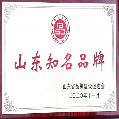 喜報！山東天工入選2020年度山東知名品牌